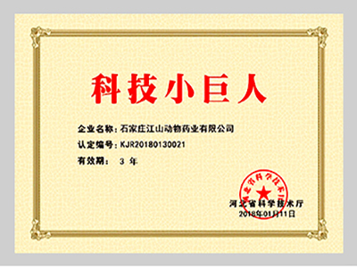 企业荣誉